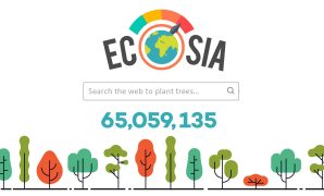 search engine ecosia