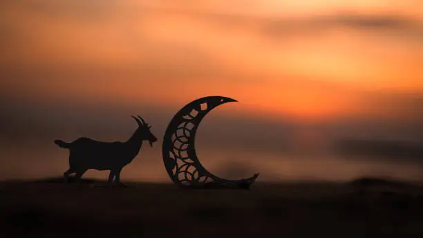 Refleksi Idul Adha
